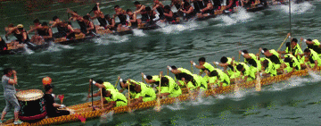 1715151345643698.gif 1.gif