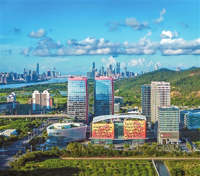 1734680484562978.jpg 2.jpg